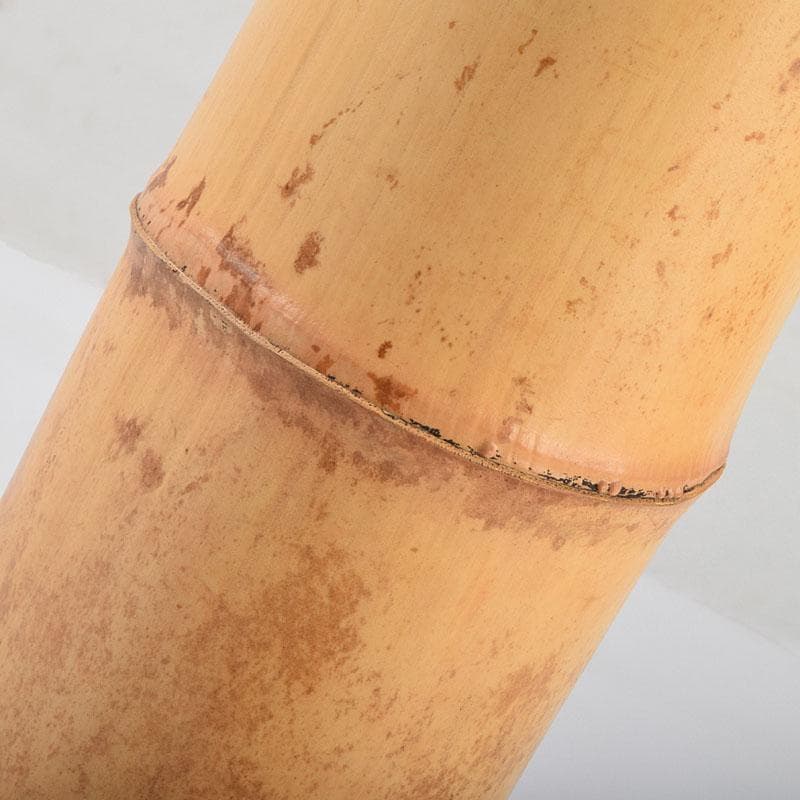 茶道具　竹一重花入　二月堂焼印　時代箱付　V　R9535