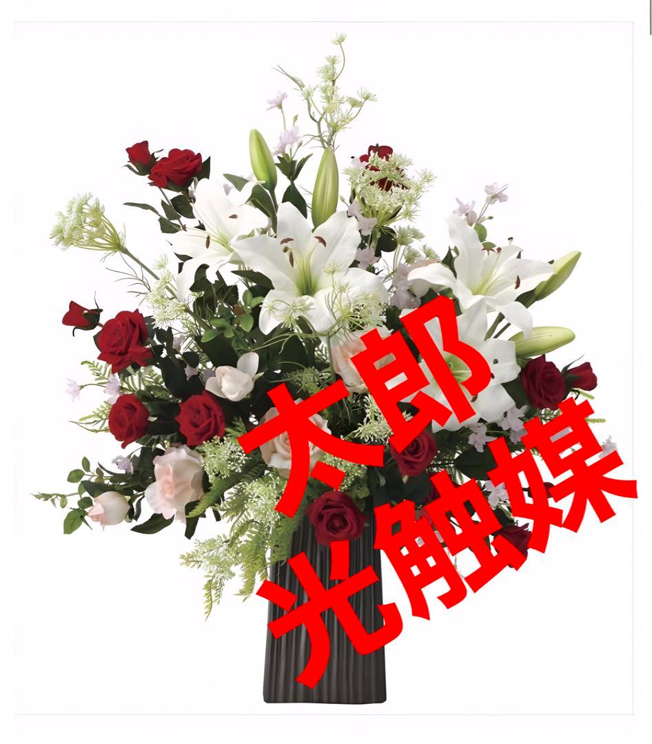 光触媒　人工観葉植物　フェイクグリーン　ウォールグリーン　クイーンアンレース