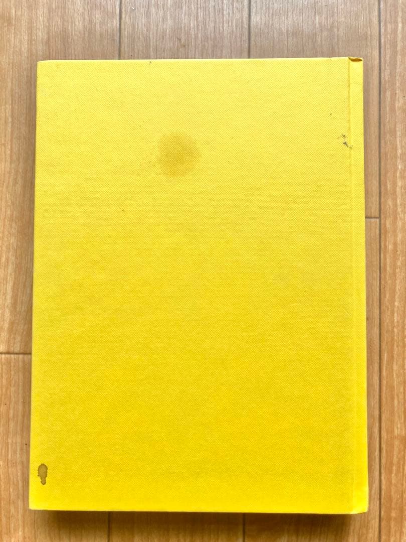 洋書 William Eggleston From black and white