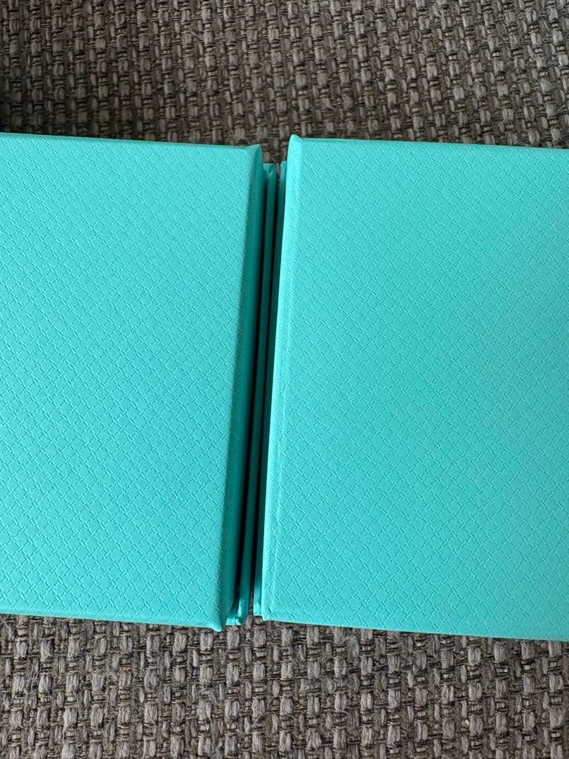 国内　現行品　美品ティファニ空箱巾着袋10セット