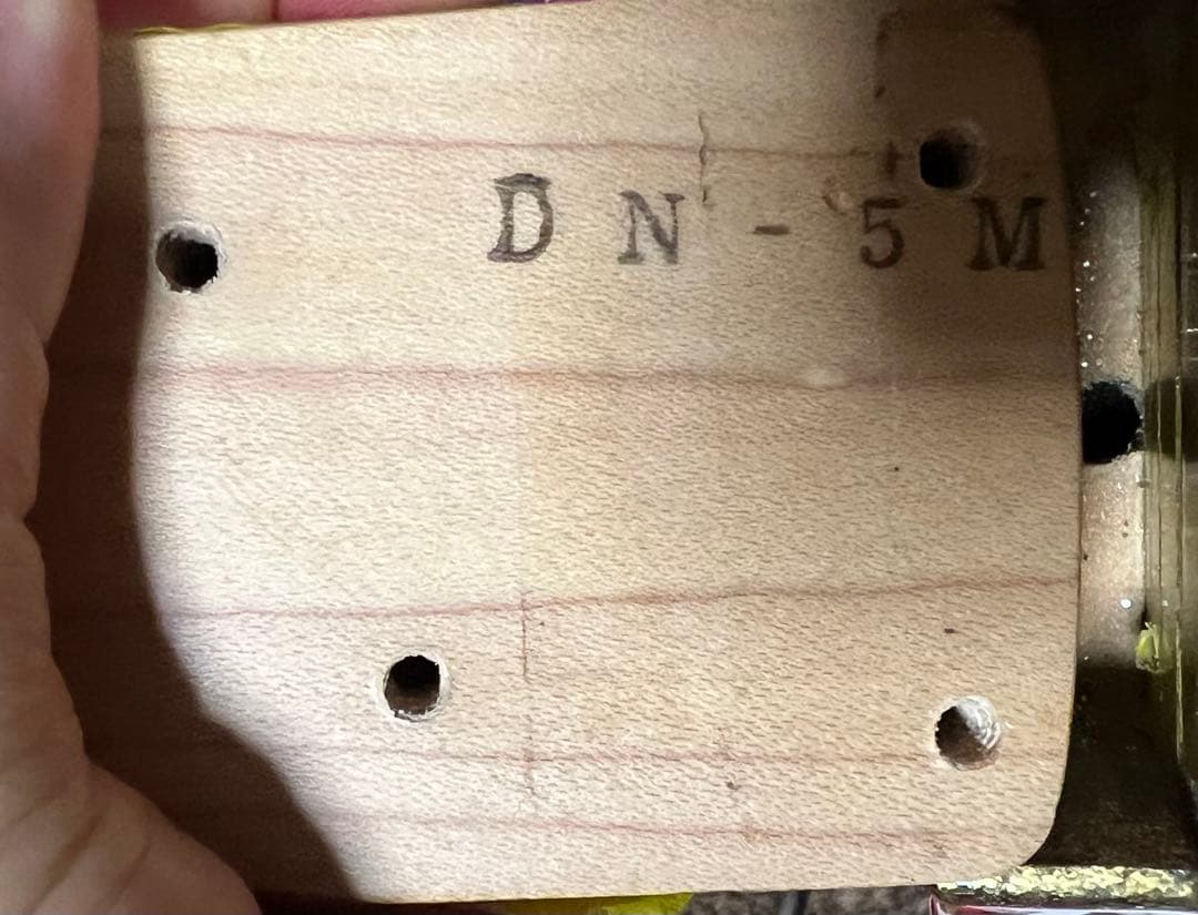 Anboy DN-50M？　スキャロップ指板