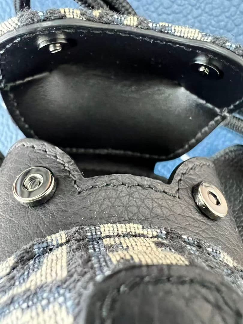 Dior ディオール　犬型AIR PODSケース新品未使用