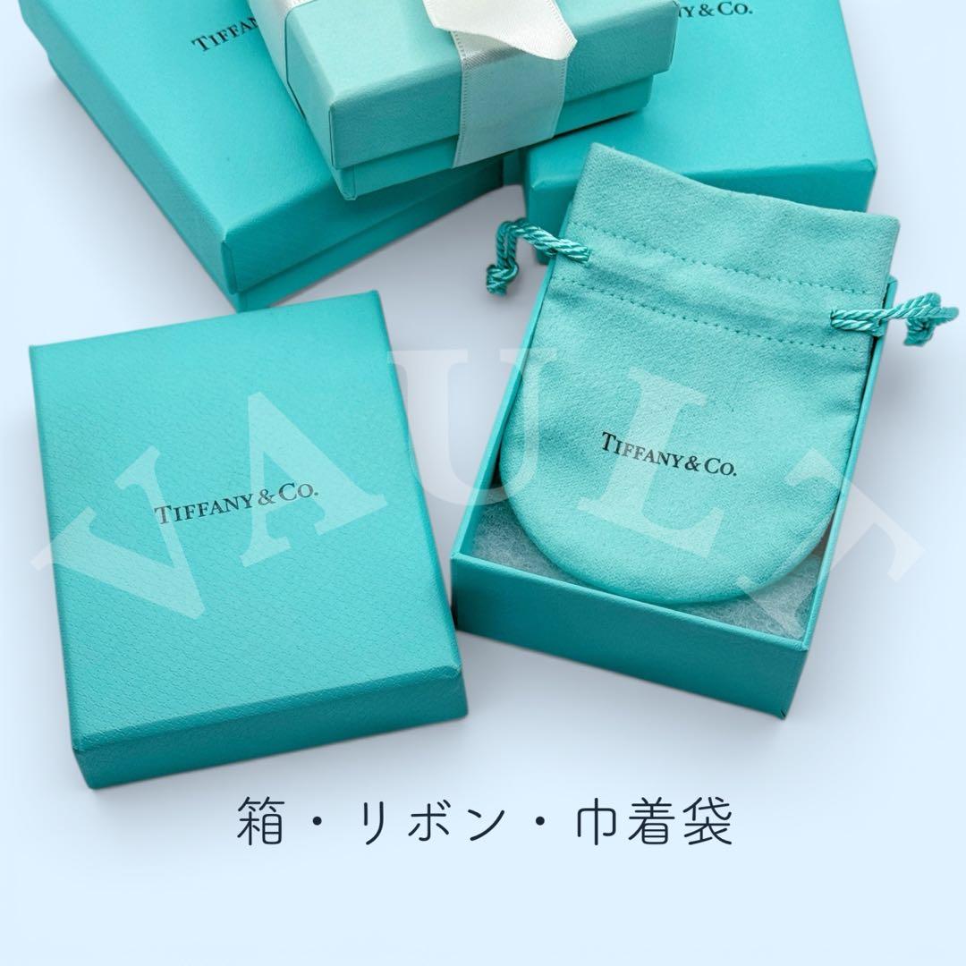 TIFFANY&Co. 極美品 タイバー ネクタイピン Ag925