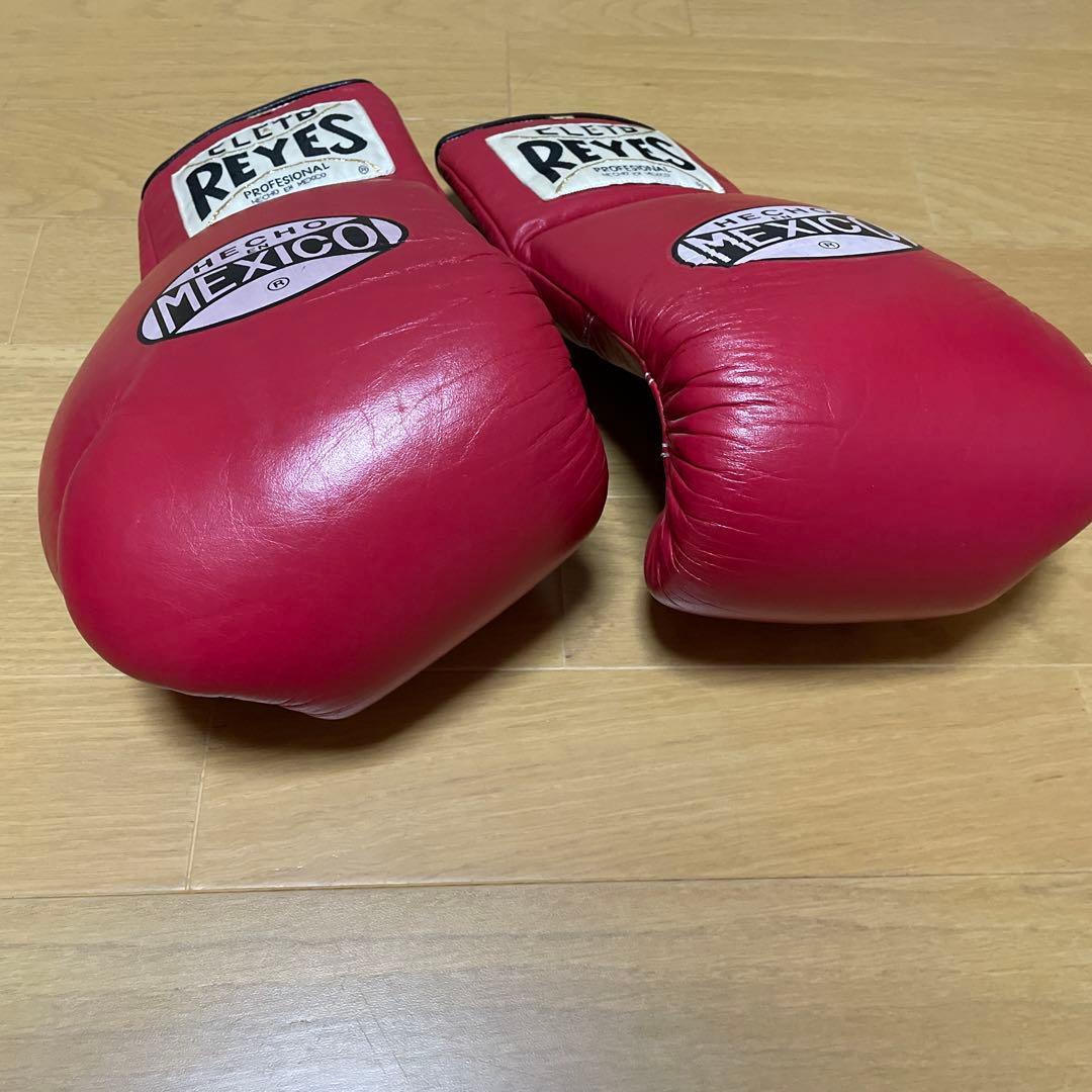 レイジェスボクシンググローブ　10オンス　旧式