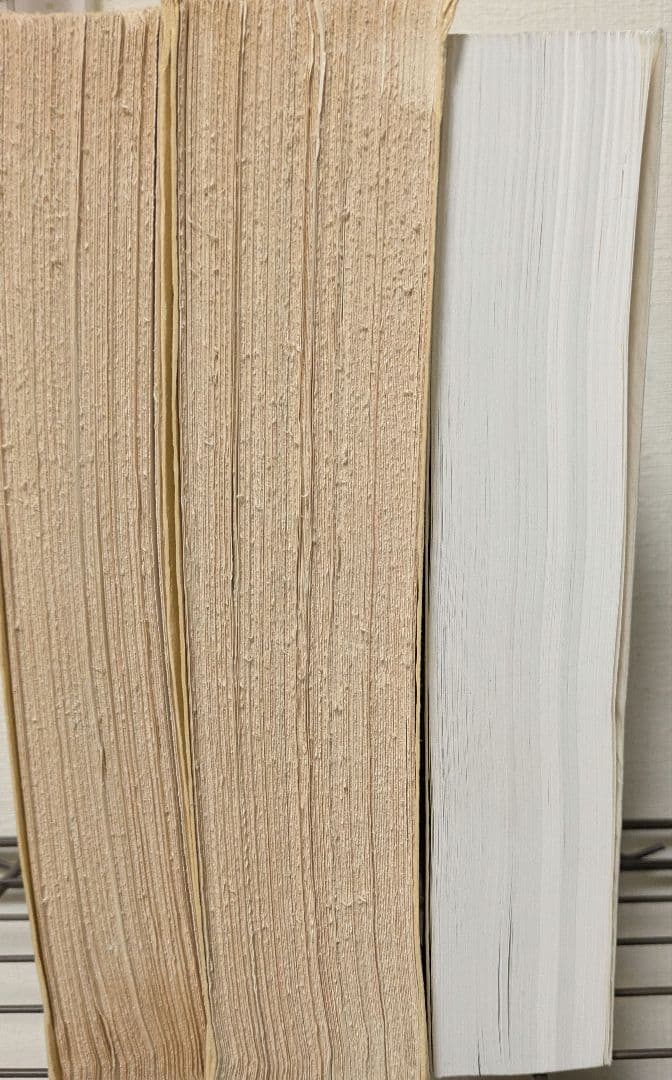 期間限定　値下げ　イタリア古文書学・南仏オック語学 専門論文集3冊セット