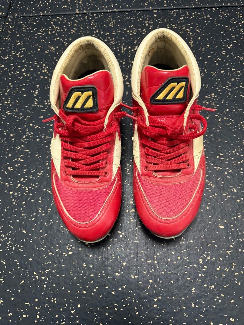 Mizuno 元プロ野球 田口壮選手サイン入り実使用スパイク