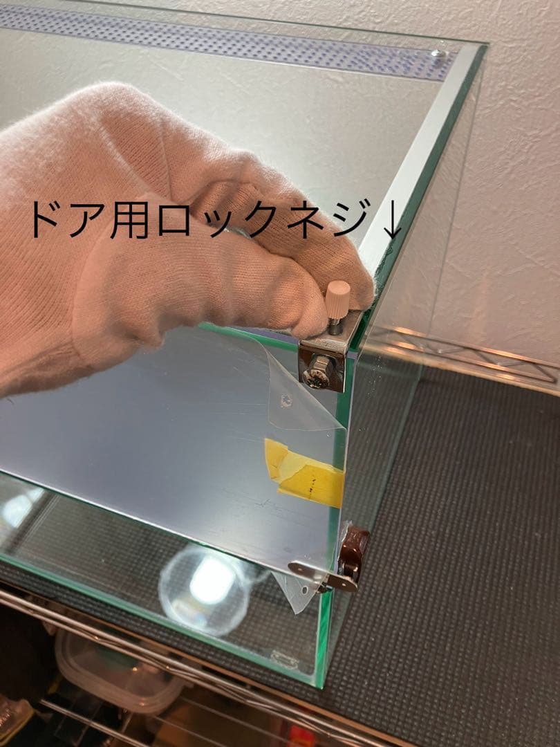 アクアサイダーのイモリウム水槽 サイズ40cm