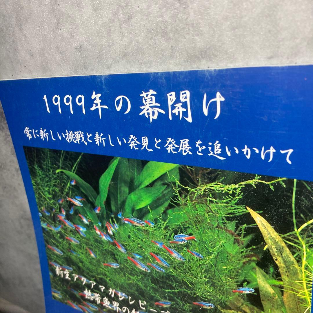 Aqua Magazine PeeP 創刊号〜9号　9冊セット