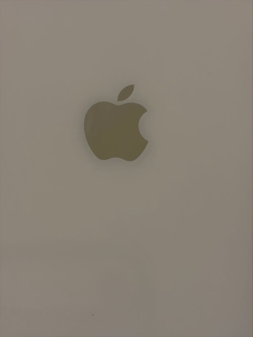 Apple iPhone 12 ホワイト 本体　極美品