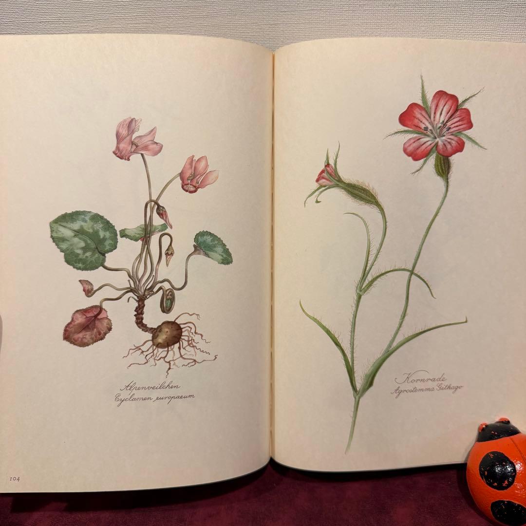 112⑤1963年ドイツElsa Flesko植物図鑑　ジャンクジャーナル