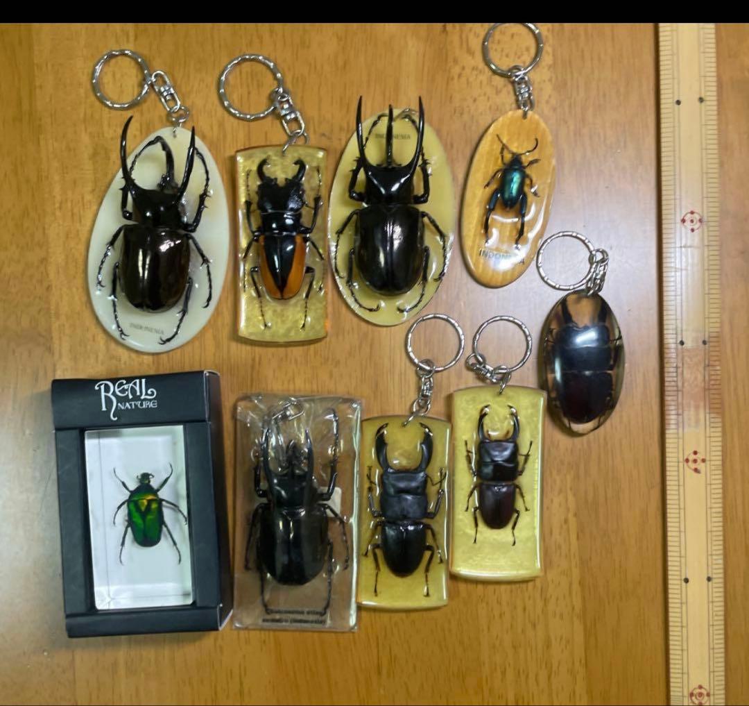 【さくらプロフ必見様】専用　　昆虫標本キーホルダー