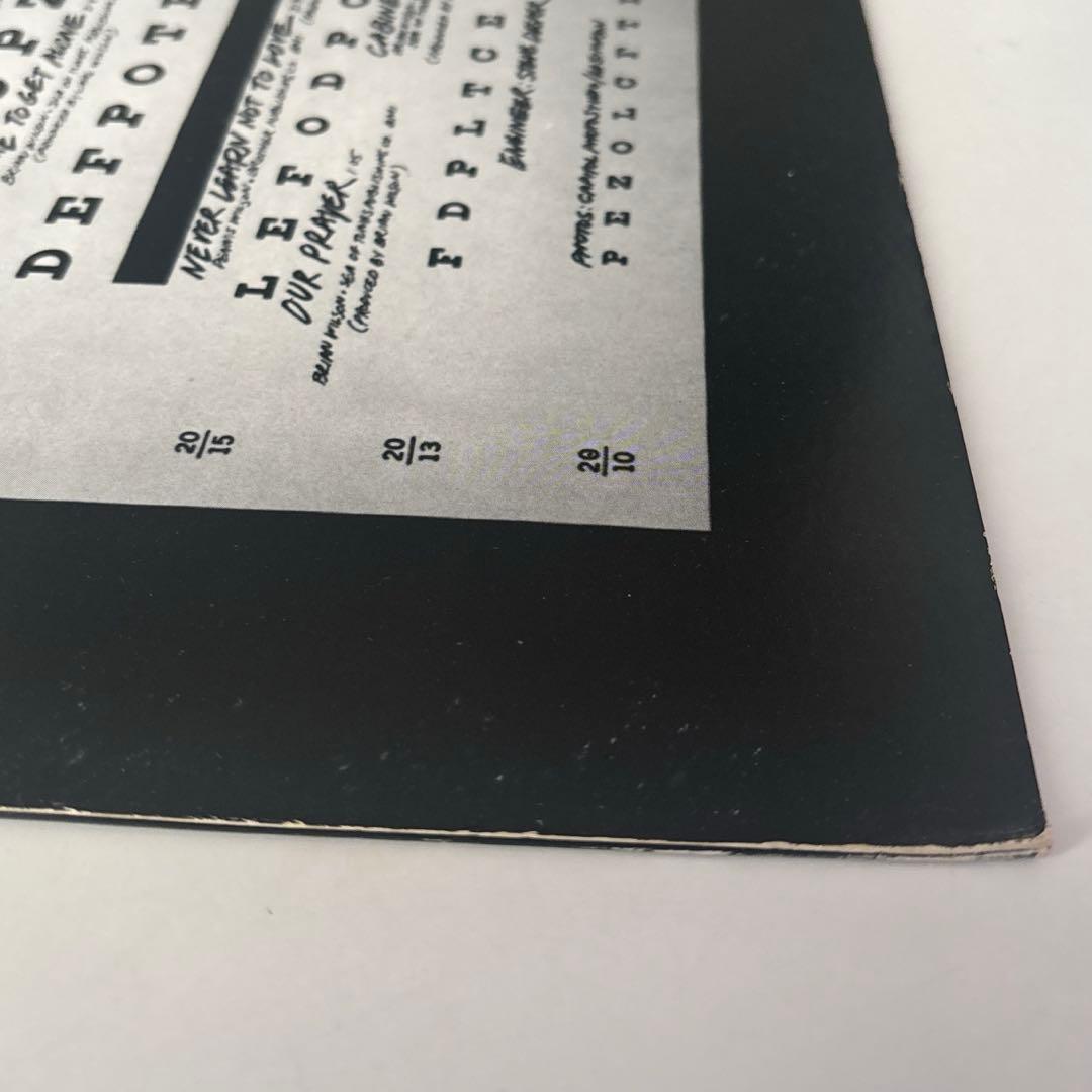 The Beach Boys 20/20 再発LP