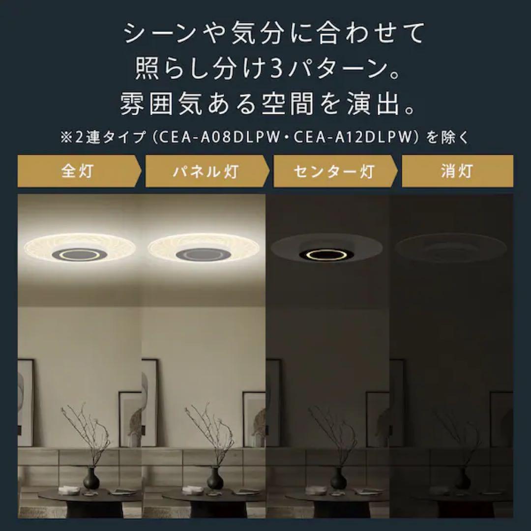 IRIS OHYAMA アイリスオーヤマ CEA-A08DLP