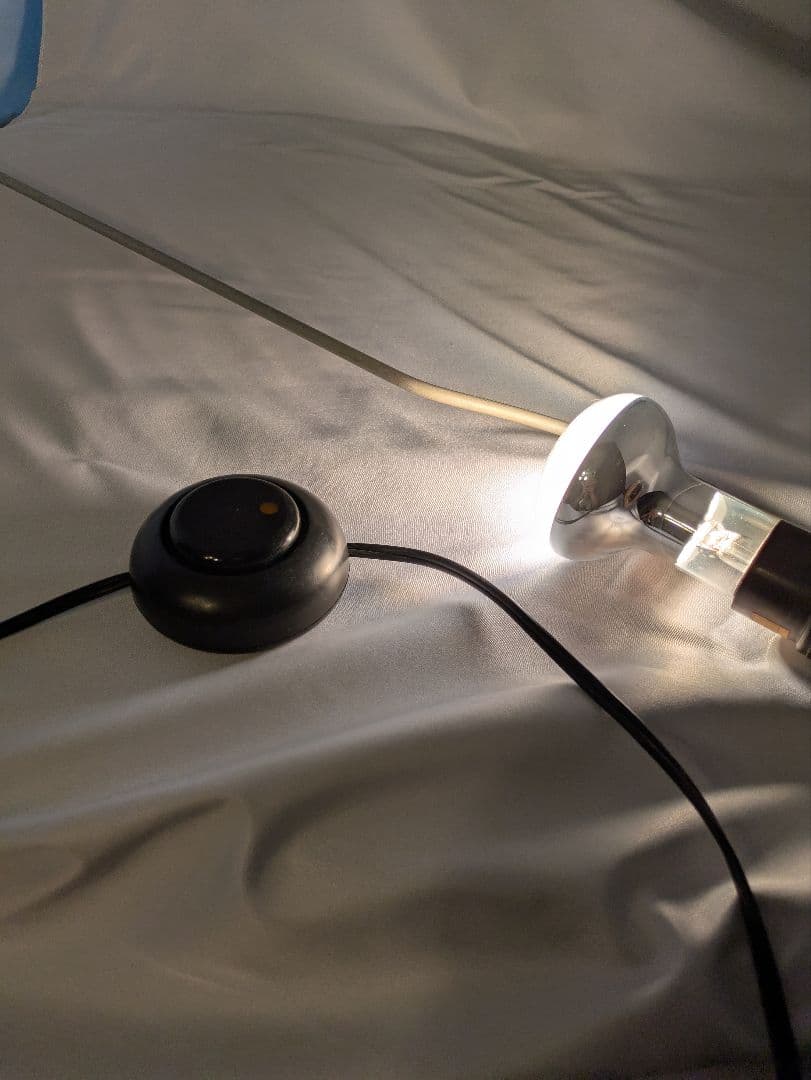 FOSCARINI フォスカリーニ ハバナフロアースタンドライト　少々難あり