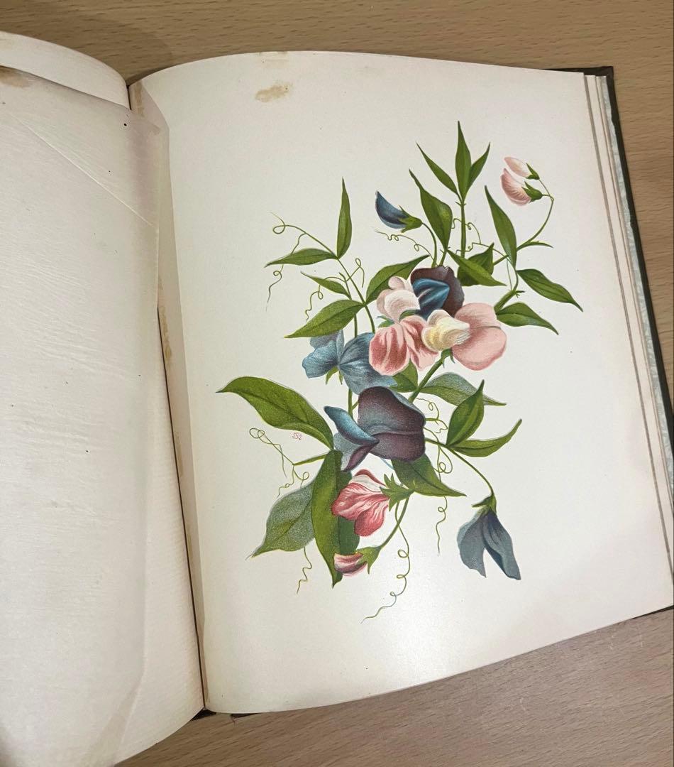 NO.322古書 アンティーク洋書 絵本 ビクトリアン 詩集 ボタニカルアート