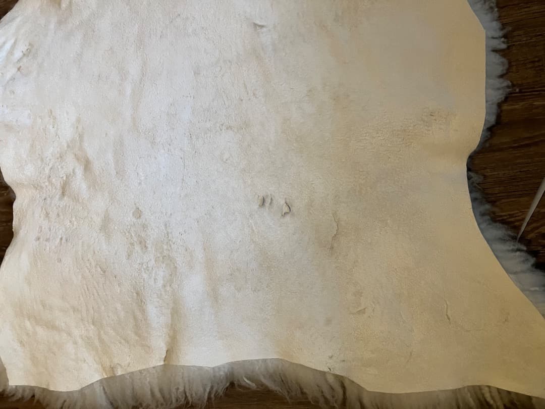 北欧羊のシープスキン