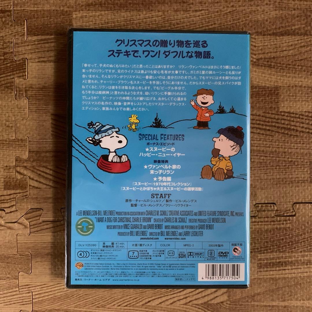 ★未開封　未使用品★ スヌーピー　PEANUTS DVD 10枚セット