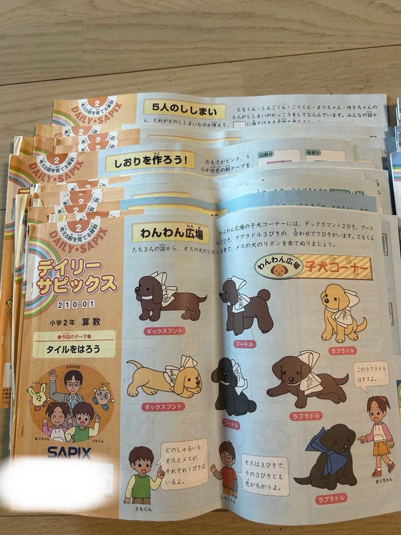 Sapix2年生デイリーサピックス国語1-17&数学1-17全巻、全34冊