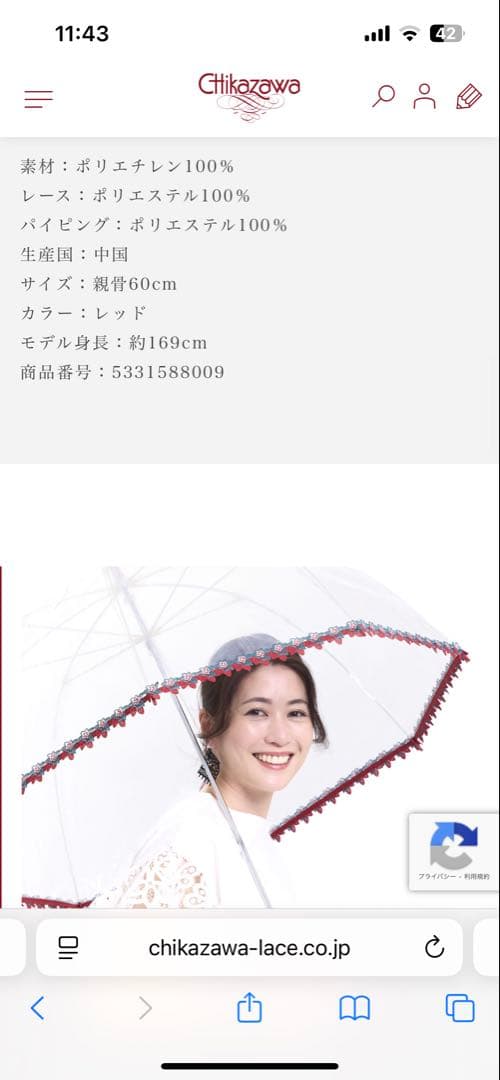 近沢レース　傘　いちご　即完売