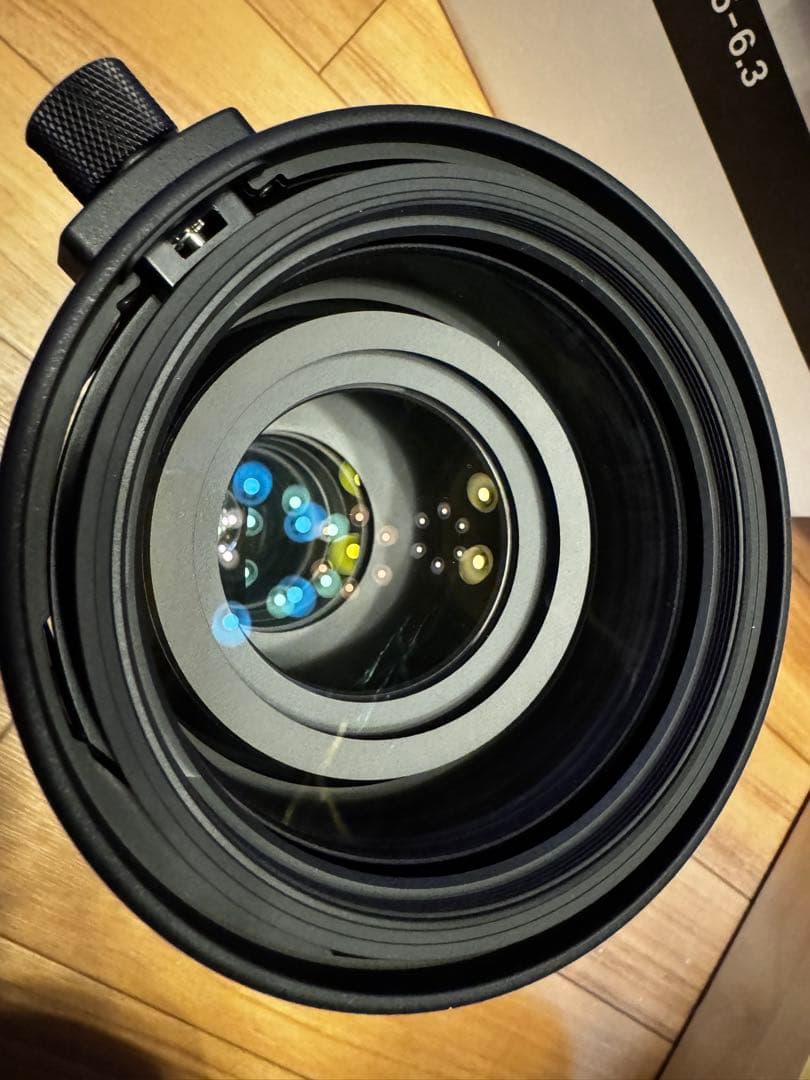 shyunn 　SIGMA 150-600mm f5-6.3 Lマウント