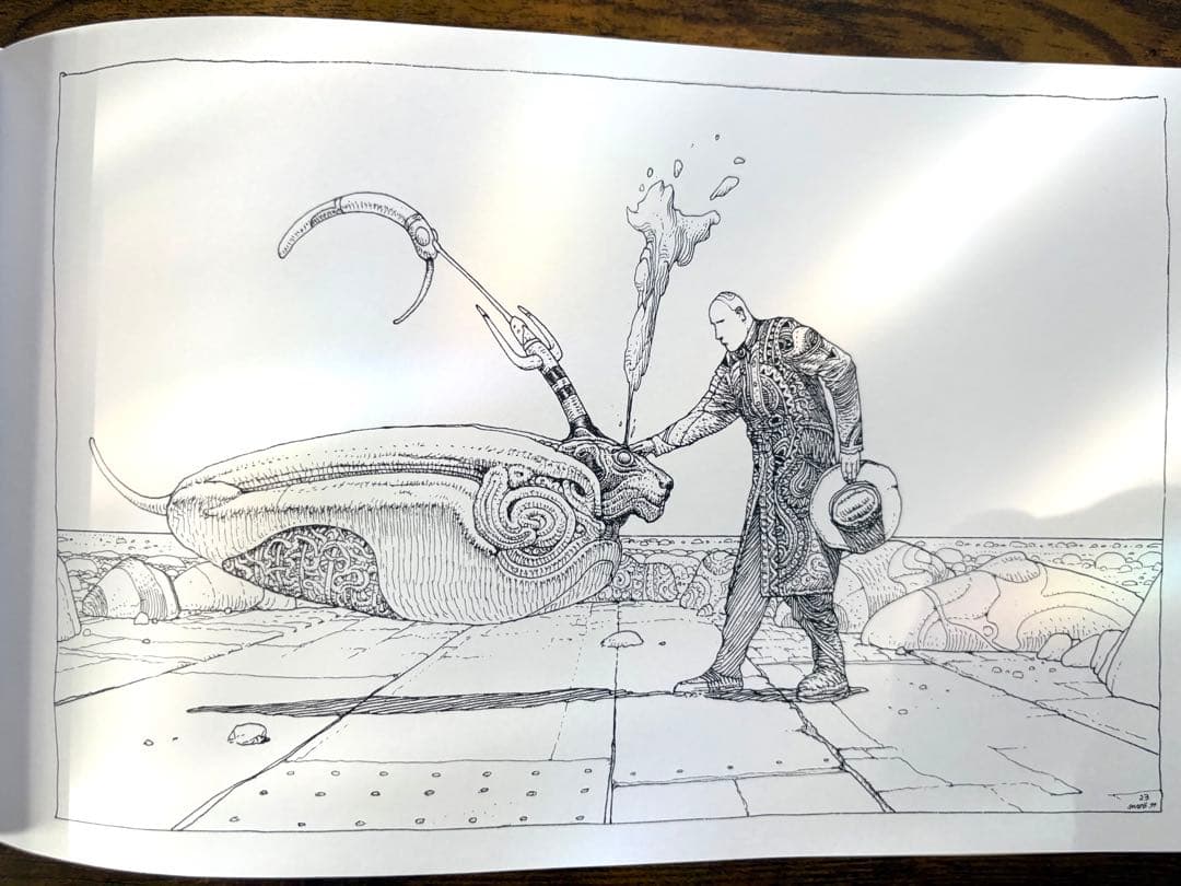 MOEBIUS 40days dans le désert B