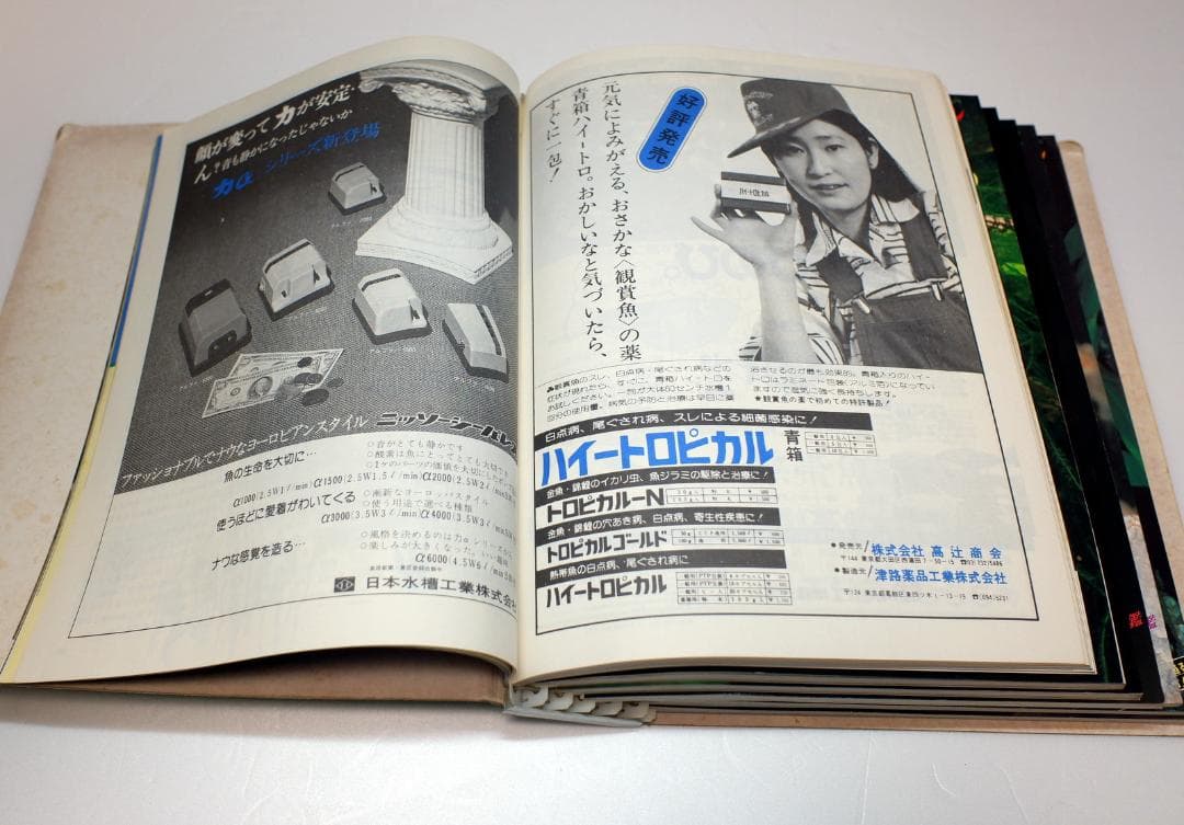 イ*3様 月刊フィッシュマガジン 1979年6月号～1981年2月号 昭和54～