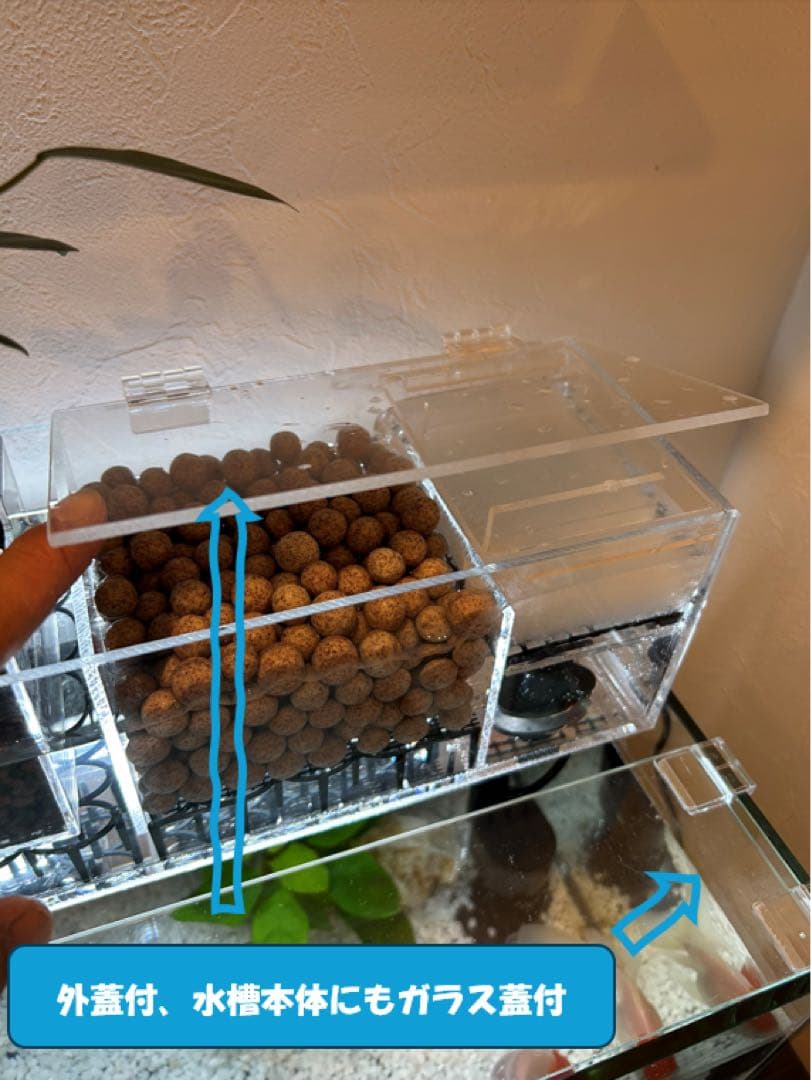 【格安】上部濾過アクアリウム水槽　アクアポニックス（観葉植物）仕様