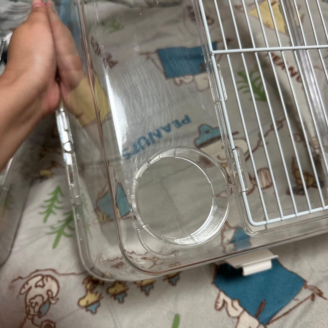 ルーミィグランスペースクリアー 床材と餌と砂付き