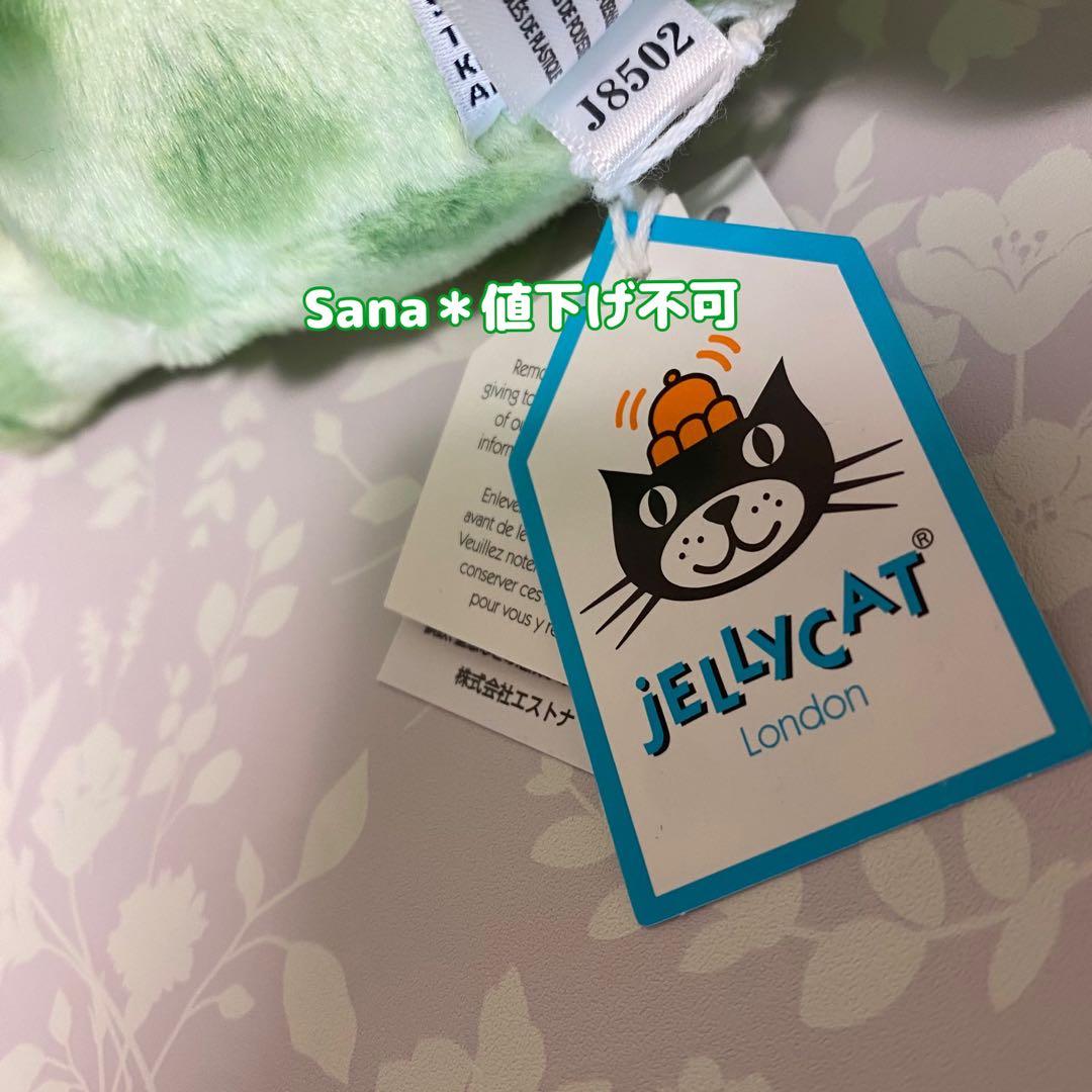 新品　ジェリーキャット　ヤモリ　家守　トカゲ　爬虫類　Gunner Gecko