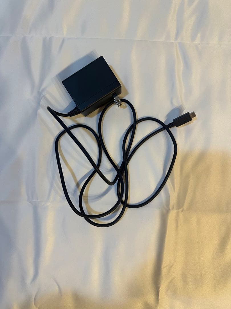 Nintendo Switch Lite ターコイズ 充電器付き　動作確認済