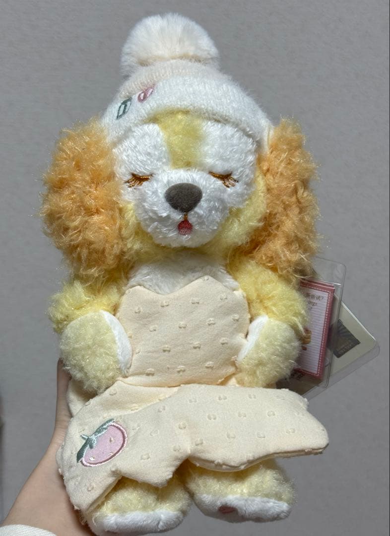 上海ディズニー　ふわふわ夢　クッキーアン　ぬいぐるみキーチェーンとSSぬいぐるみ