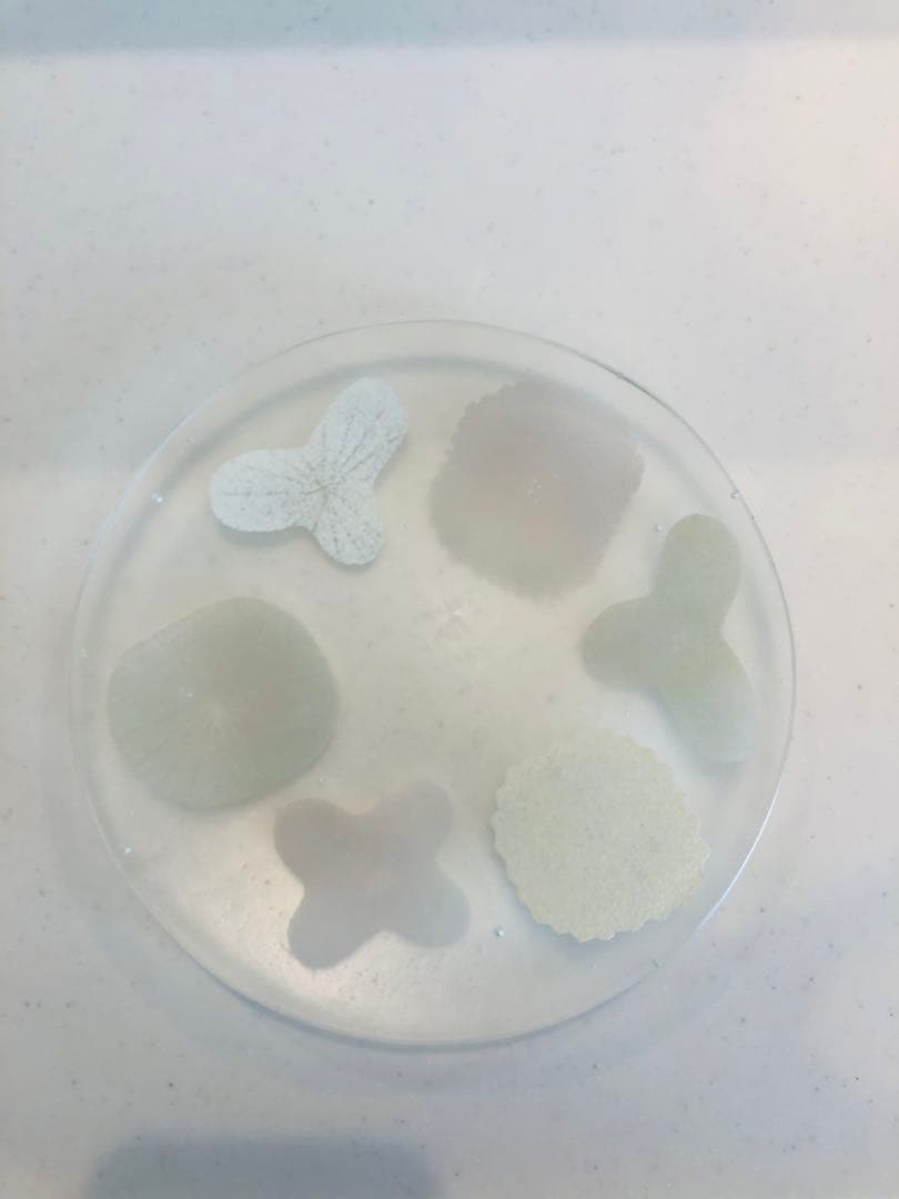 八木麻子さん　ピンク　リース皿