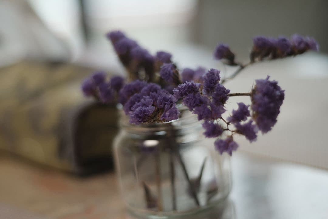 Kern Aarau Switar 50mm f1.8 フード マウントアダプタ