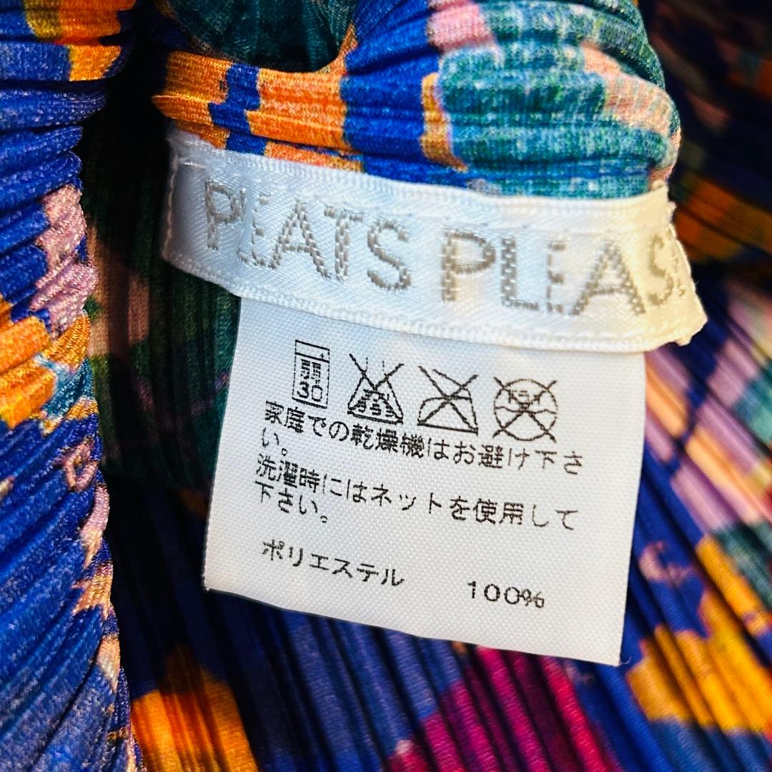 プリーツプリーズ グラフィックアート カットソー 長袖 イッセイミヤケ