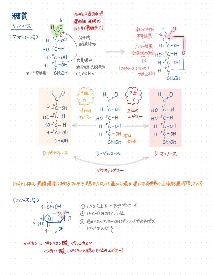 薬剤師国家試験対策 まとめノート 全科目セット 薬学部