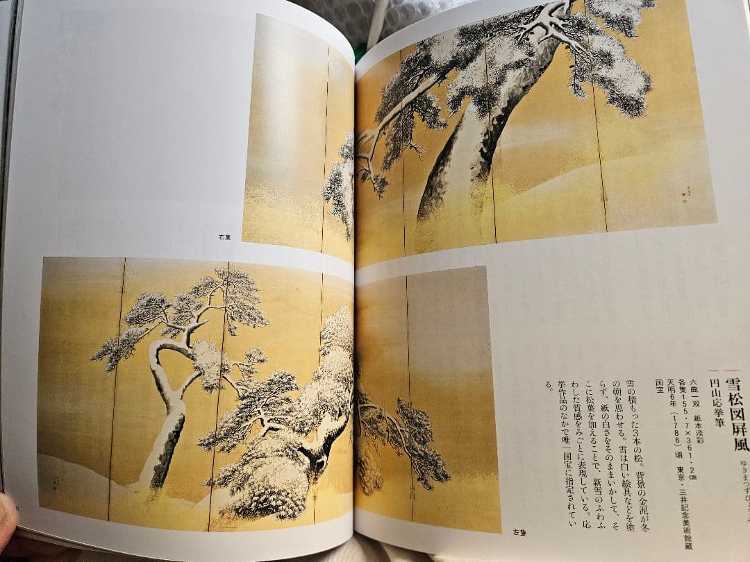 円山応挙 建宗義寅 ［雪中松画賛］ 円山派の祖 臨済宗大徳寺 393世