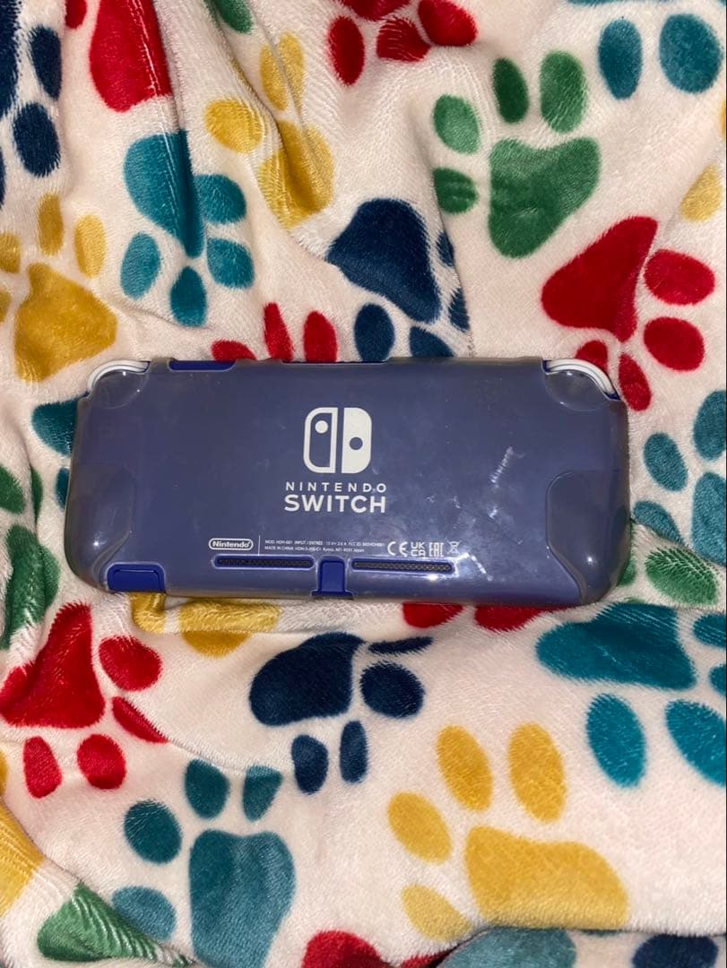 Nintendo Switch Lite 水色