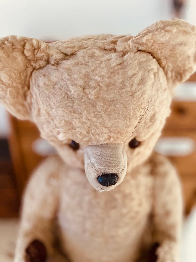 フランス　ヴィンテージベア　モコモコ♡⸝⸝⸝⸝ アンティークベア