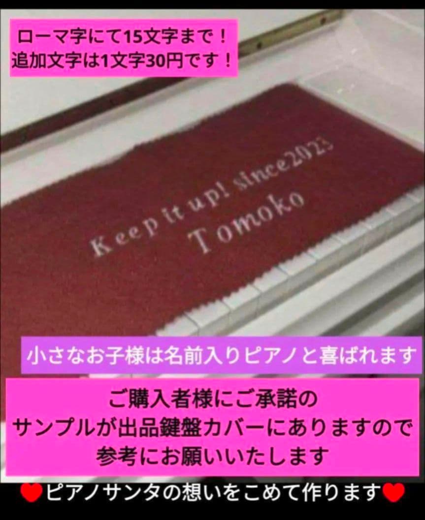 配達無料 CASIO 電子ピアノ CELVIANO AP-420 10年製 美品