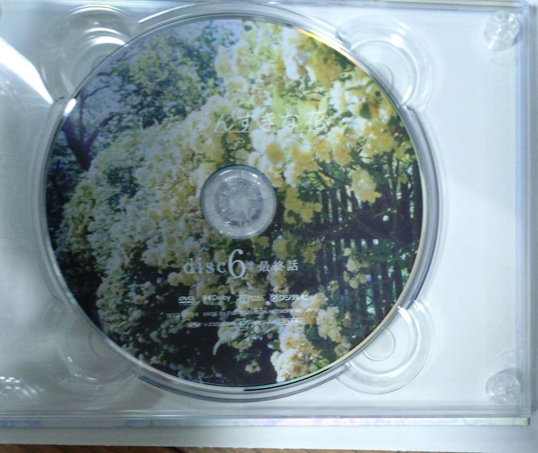 いちばんすきな花-ディレクターズカット版- DVD-BOX〈7枚組〉