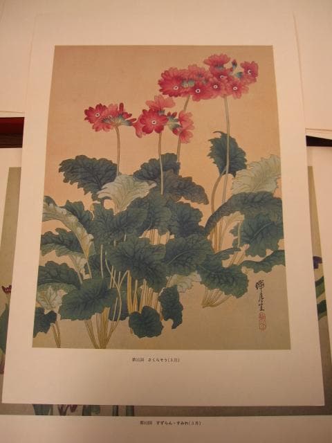 瑞月草花画譜　池田瑞月　限定700部