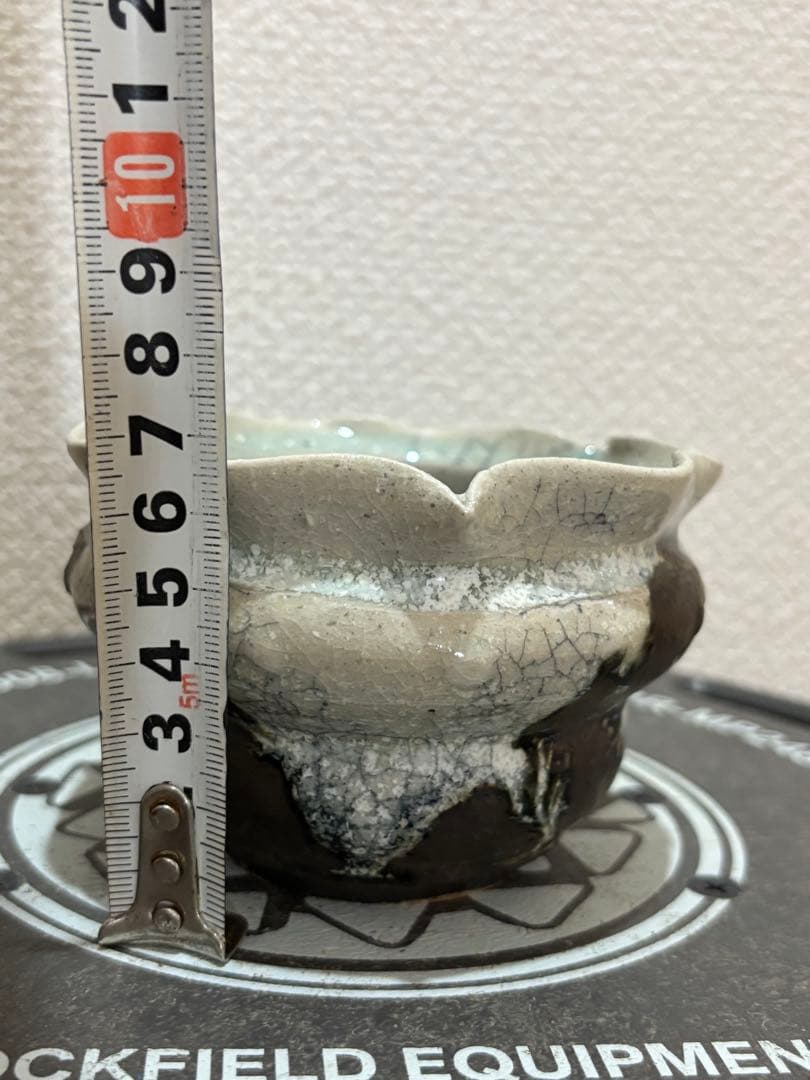 spicygem アーティストライン 藤原純 鶴仙園 鉢