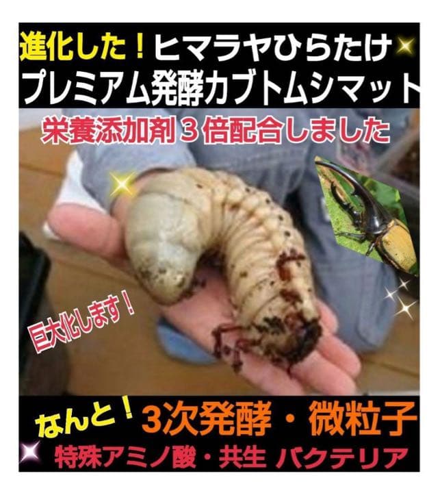 ギネスサイズ実績！特選プレミアム3次発酵カブトムシマット【5袋】特殊アミノ酸配合