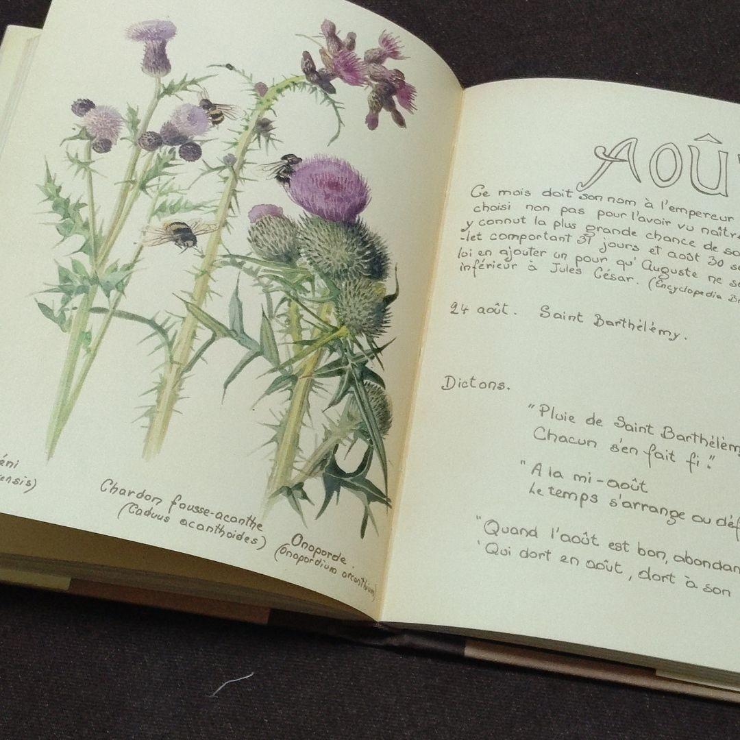 洋書　edith holden　イーディス•ホールディン　カントリーダイアリー