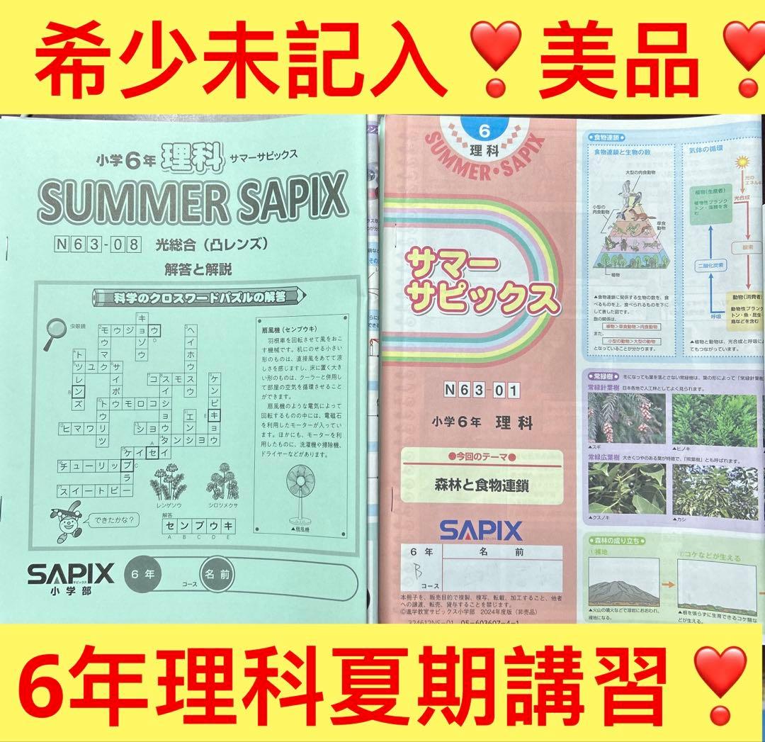 ㉔A未記入　サピックス　SAPIX 6年　理科　サマーサピックス　夏期講習