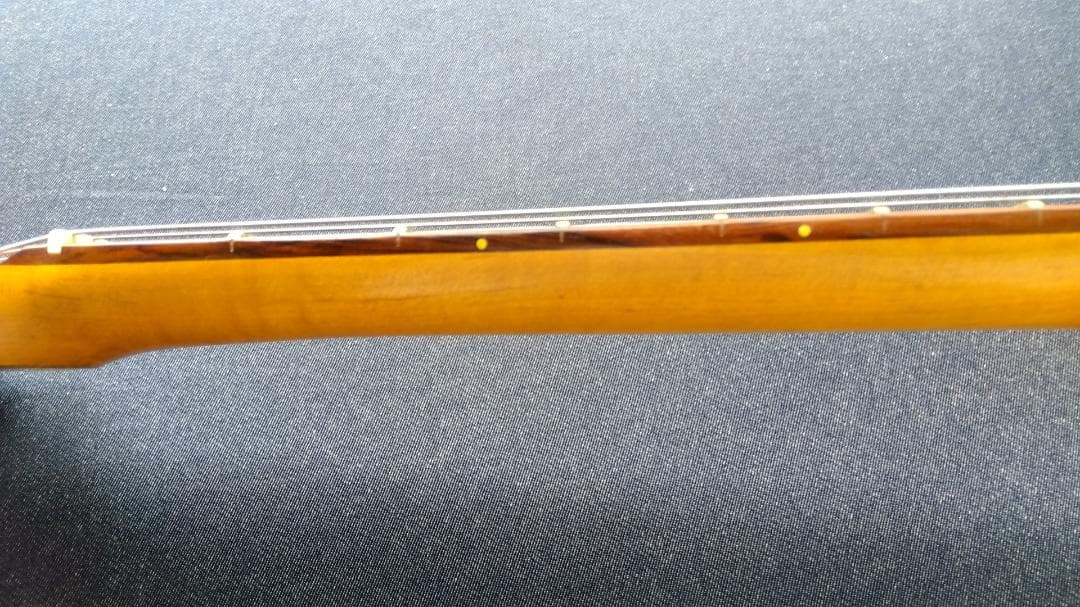 AXL Guitars Badwater SRO アクセルギターズ