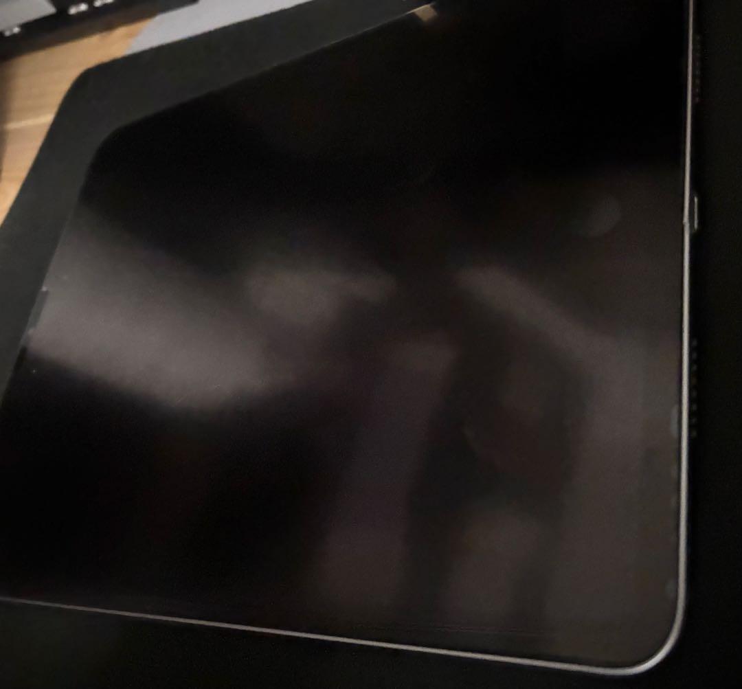 iPad Pro 第4世代　256GB ジャンク　言い値、コメントください