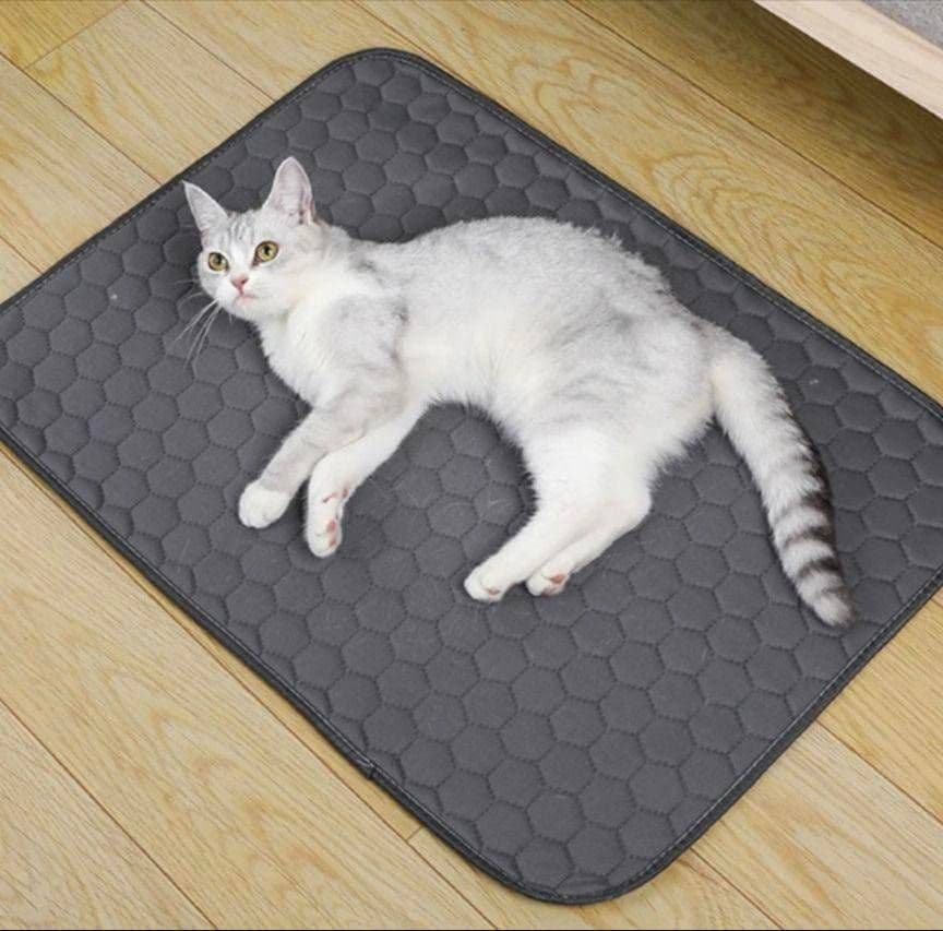 ベージュ 2枚 洗える ペットマット ペットシーツ トイレシート 防水 犬 猫