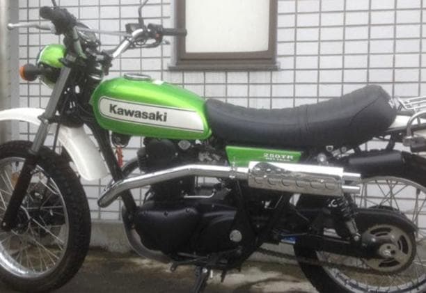 (⭐︎Tarucyan) 250TR アップマフラー パープルヘイズ