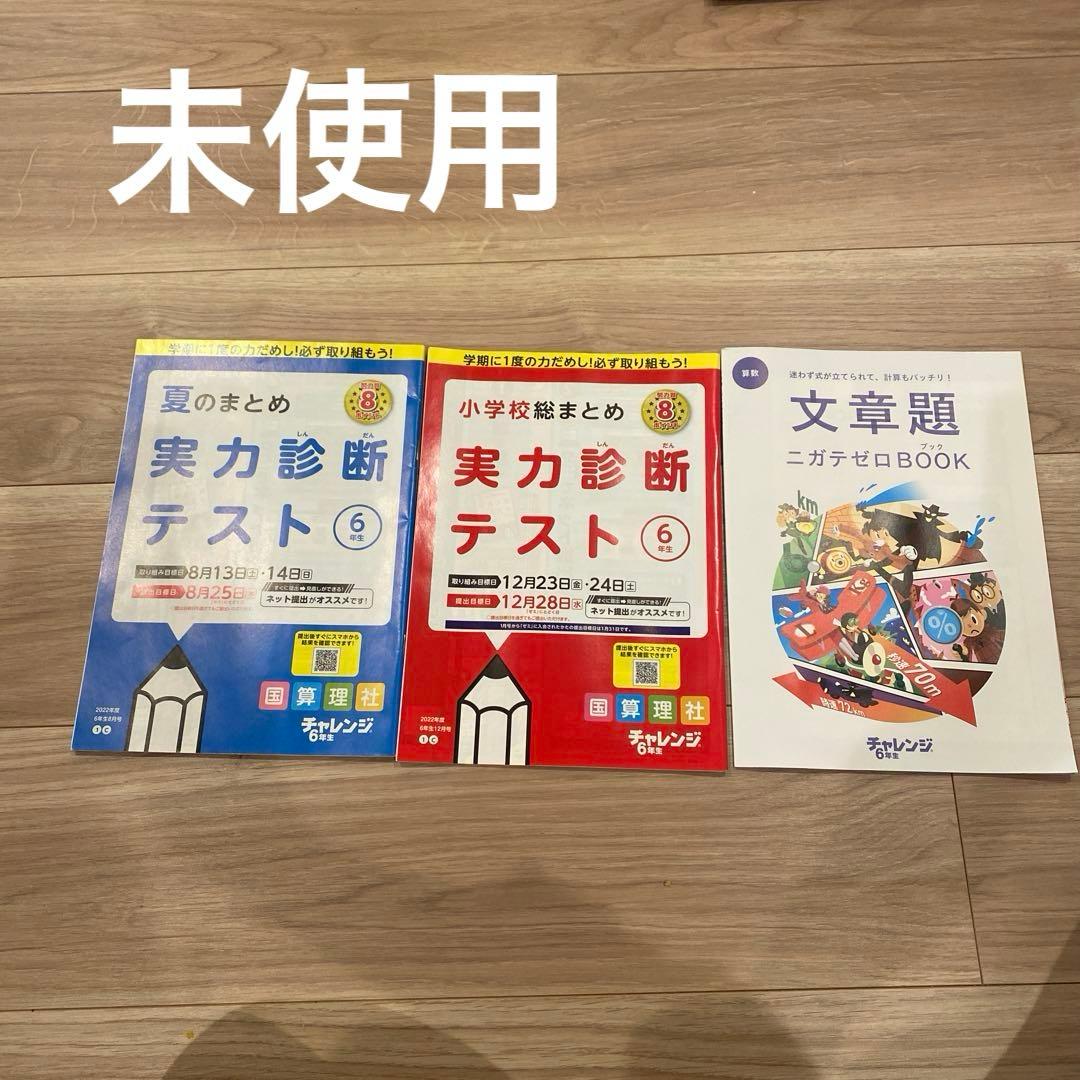 【ほぼ未使用‼︎‼︎ 】チャレンジ6年生➕中学準備号　1年分　進研ゼミ